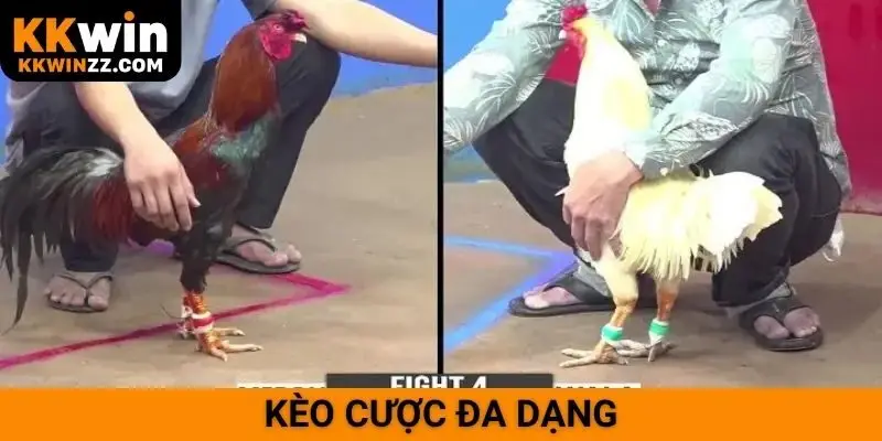 Kèo cược đa dạng